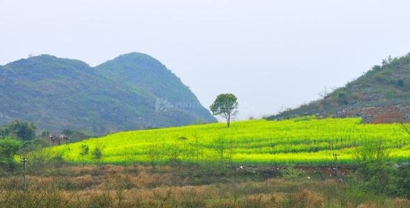 孔子：良政在于举贤，人才毕举；善治在于用贤，能者当政