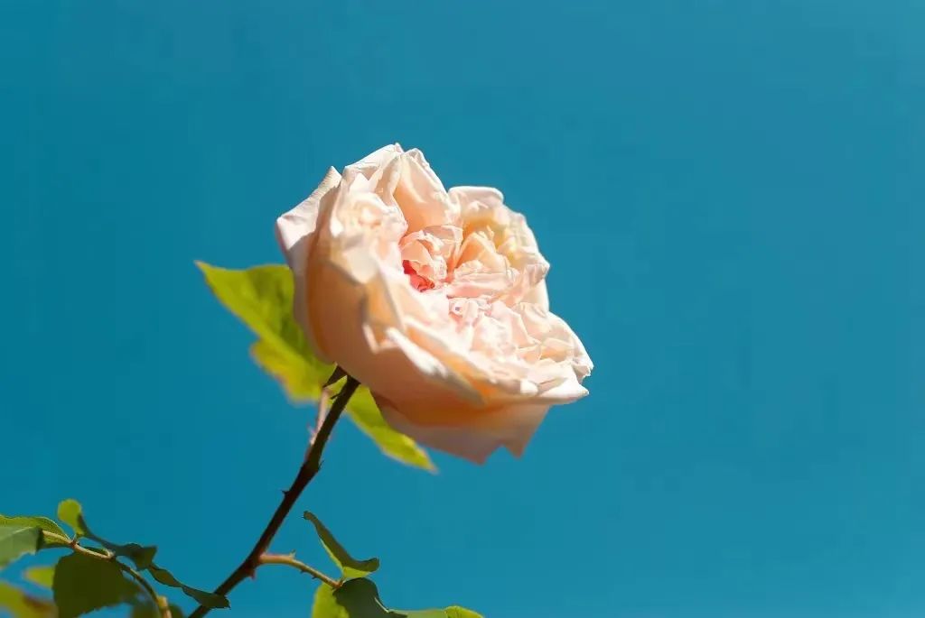 ˭ǵ˭˵Զİң˭(ji)˭˵Զİԭ-Ȼ
