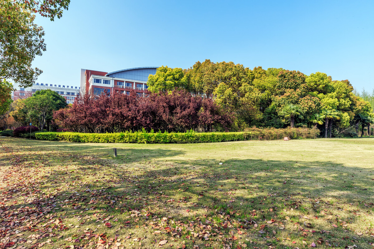 高考容易被忽视的4所军校，录取分数线偏低，学生毕业就是军官