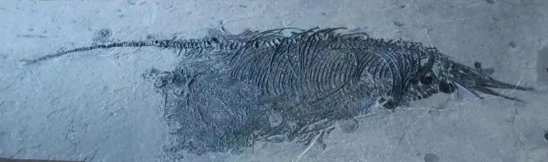 成都这所高校“火了”！食宿配置豪华，拥有绝美风光，学生幸福感爆棚！