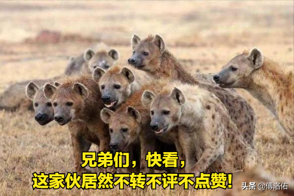 标题：扭曲灵魂之玷，卑劣行径尽显人性深渊