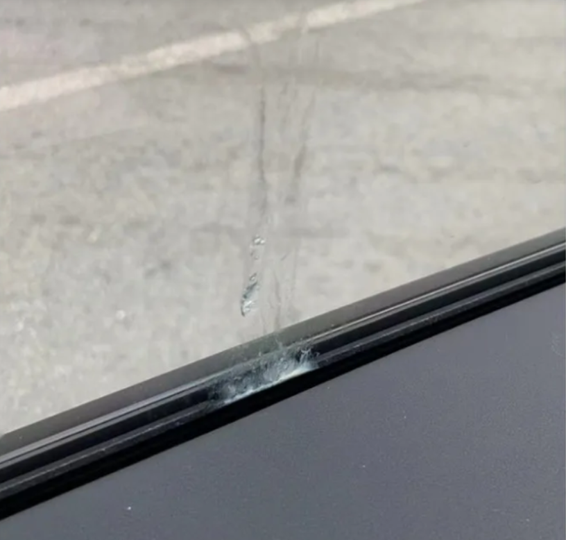 特斯拉被吐口水，“哨兵模式”立大功，双方都是高手过招