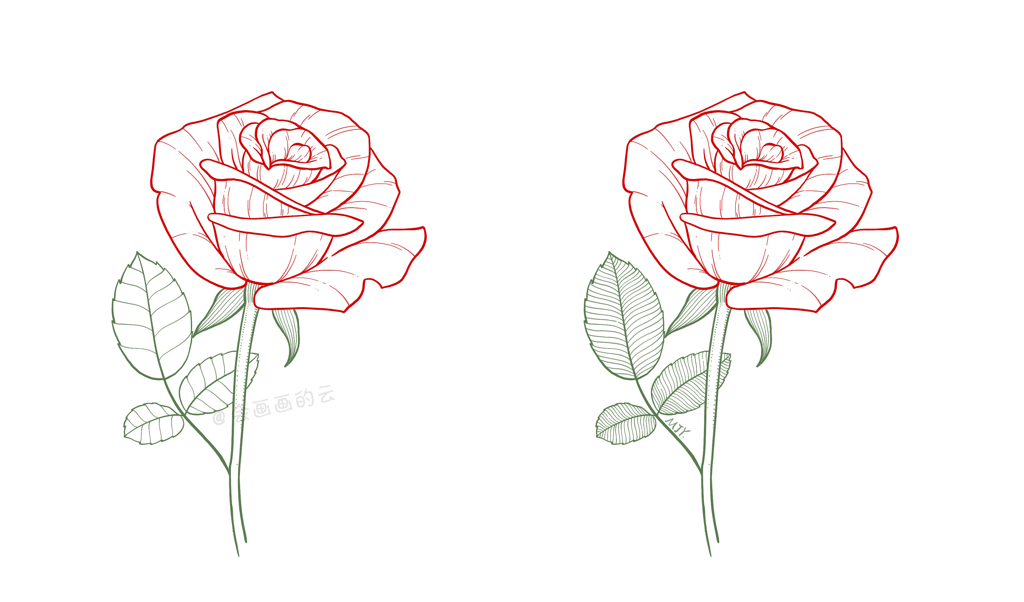 玫瑰花的画法二次元图片