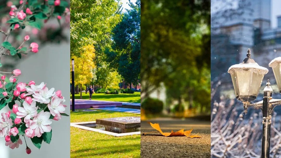 央媒盛赞！这所985到底有多浪漫？上天入海，追星揽月！网友：浪漫到骨子里！