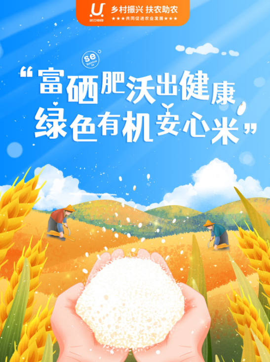 优云电商助农之路，为乡村振兴注入电商新活力