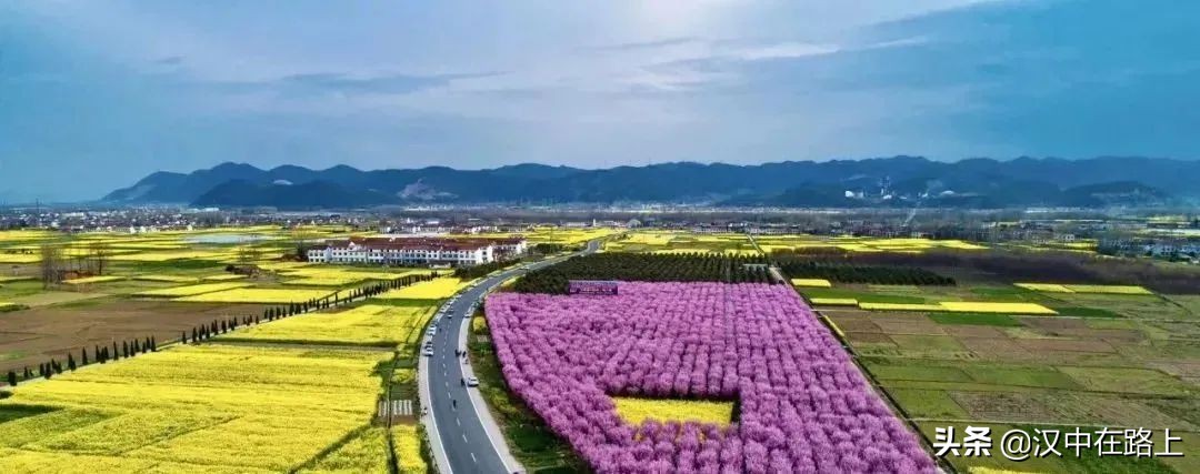 全部免費(fèi)！漢中鄉(xiāng)村賞花攻略出爐！妥妥安排