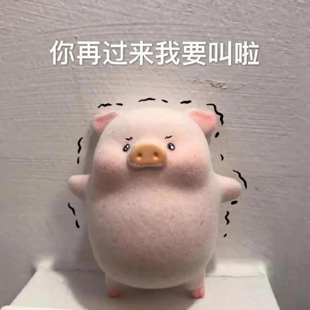 《人生三千事，淡然一笑间》1：事事如意料之外