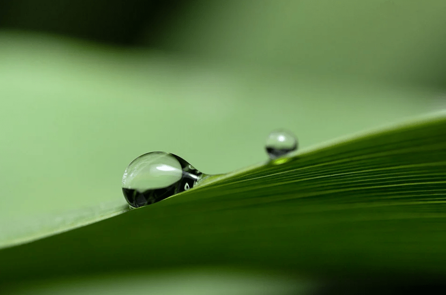 股票买卖交易规则（股票期权交易）