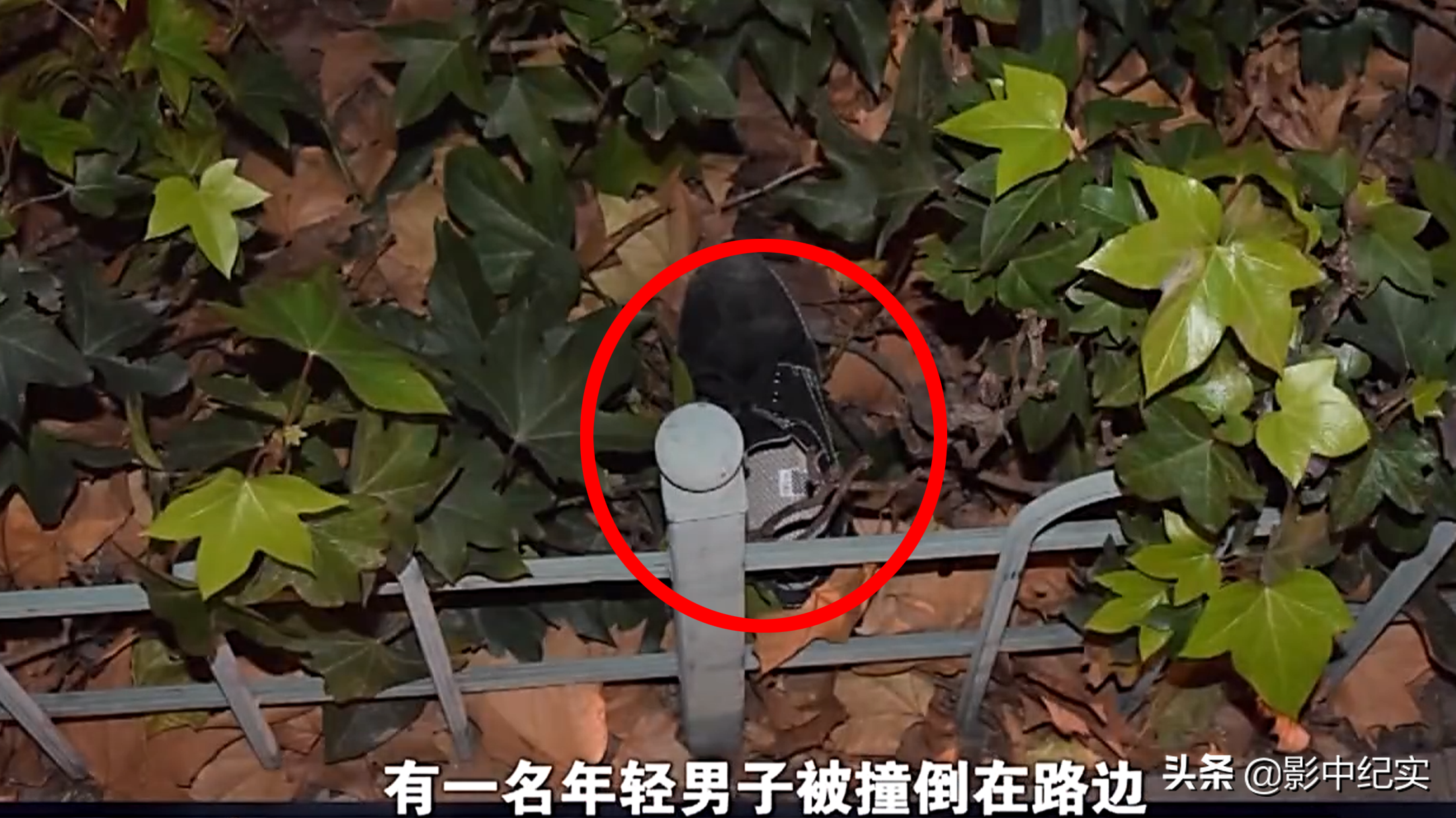 2016年11岁小学生肇事逃逸致人死亡，牵出四方失责人员，法院咋判