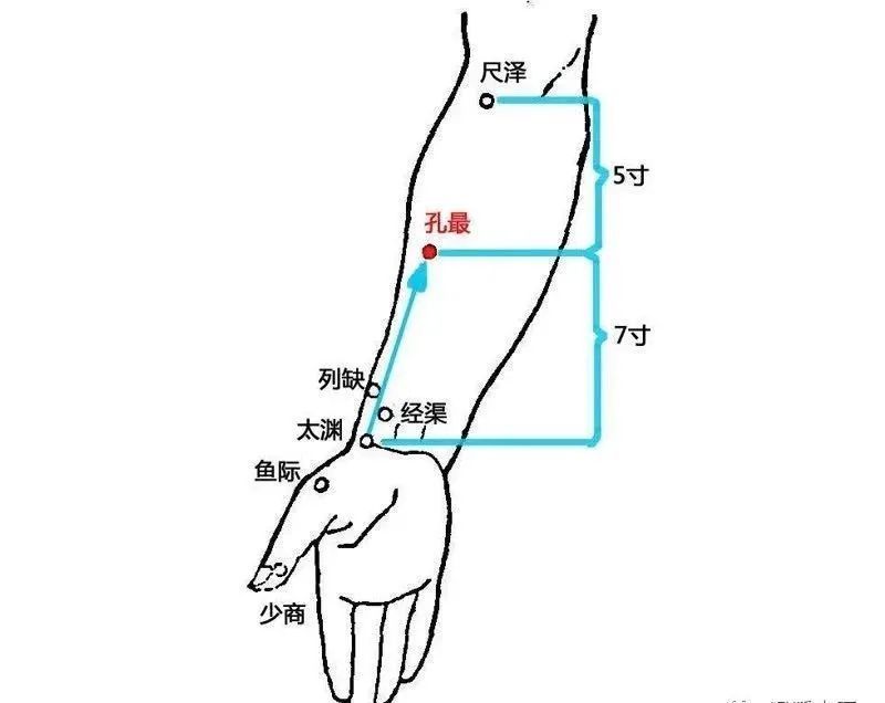 内科常见疾病针药治疗(十三)肺炎