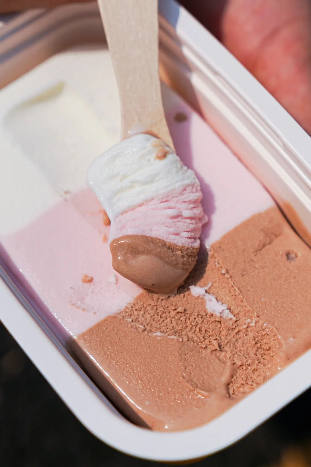 五羊雪糕多少钱（分享正在消失的童年雪糕）(3)