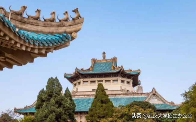 膜拜！91年出生，29岁出任985正教授、博导，他直言要培养出更多“雷军”！