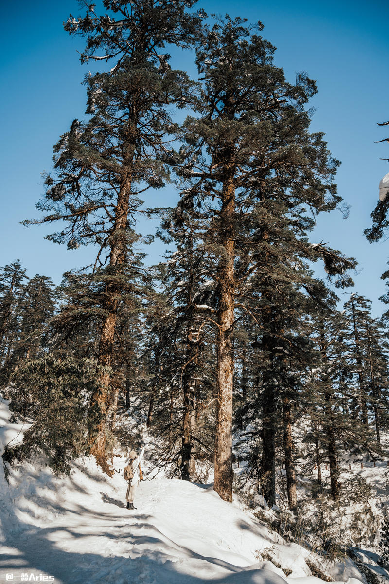 成都周边游 | 川西的雪国秘境，我与瓦屋山的纯白约定