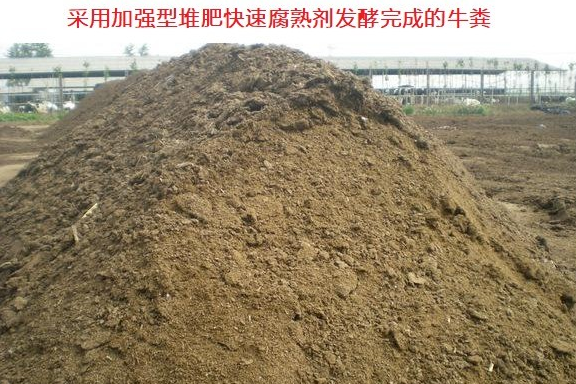 猪价低迷及饲料持续上涨养猪亏损，不如种草养牛，成本低利润可观