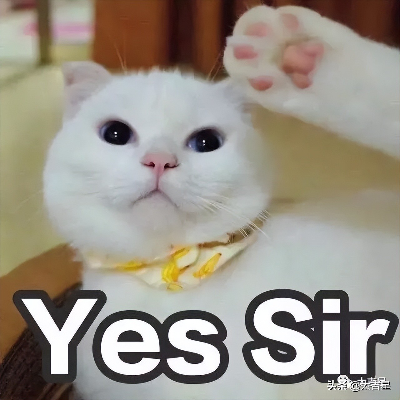 香港回归25周年：成龙街头“唱国歌”，消防员夜跑接力30公里