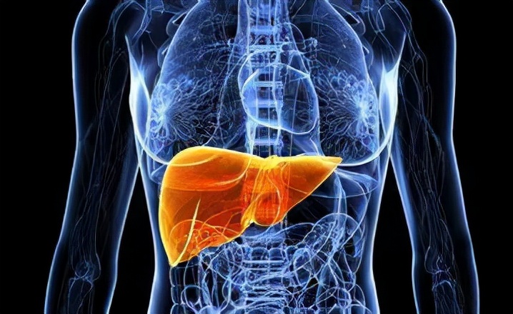 做哪些检查，能够查出肝脏是否生病了呢？