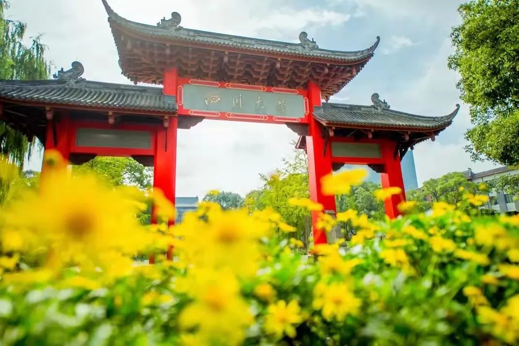 招生专业数全国前三！强基计划，就选川大！