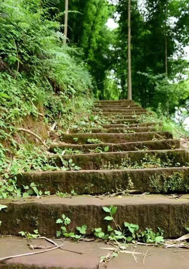 成都周边山区旅游(1.5h就到！去这个小众地爬山吸氧、看山间石刻佛像、吃生态美食)