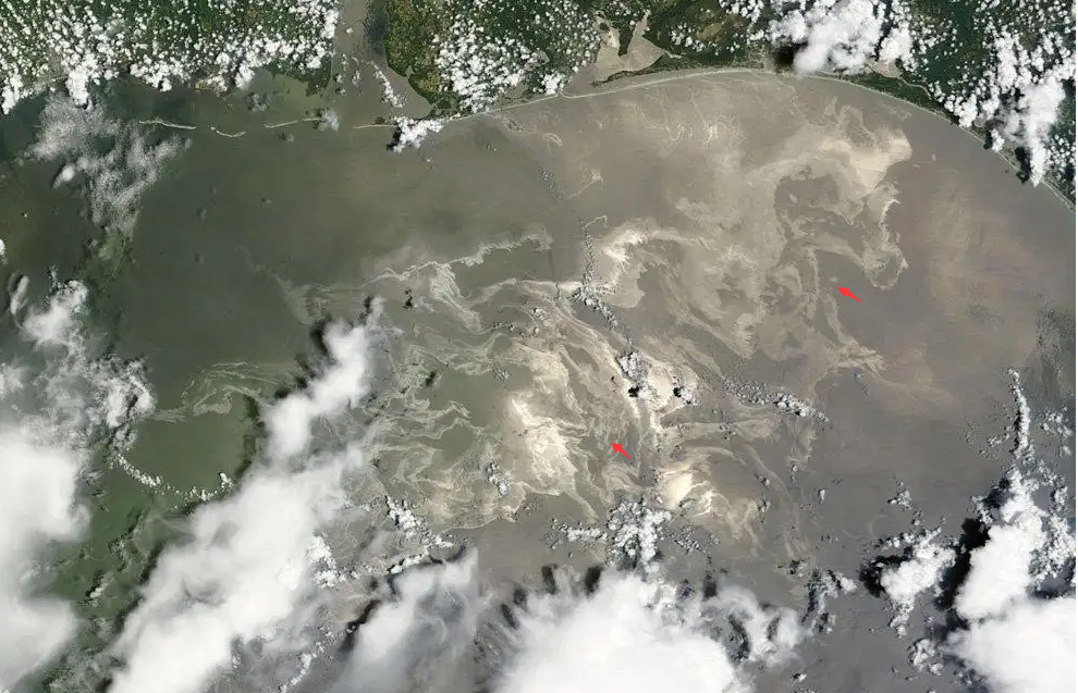 海洋石油污染危害逐渐增大