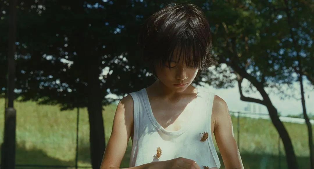 高分电影《小偷家族》，在残酷的现实里寻找一点点光亮