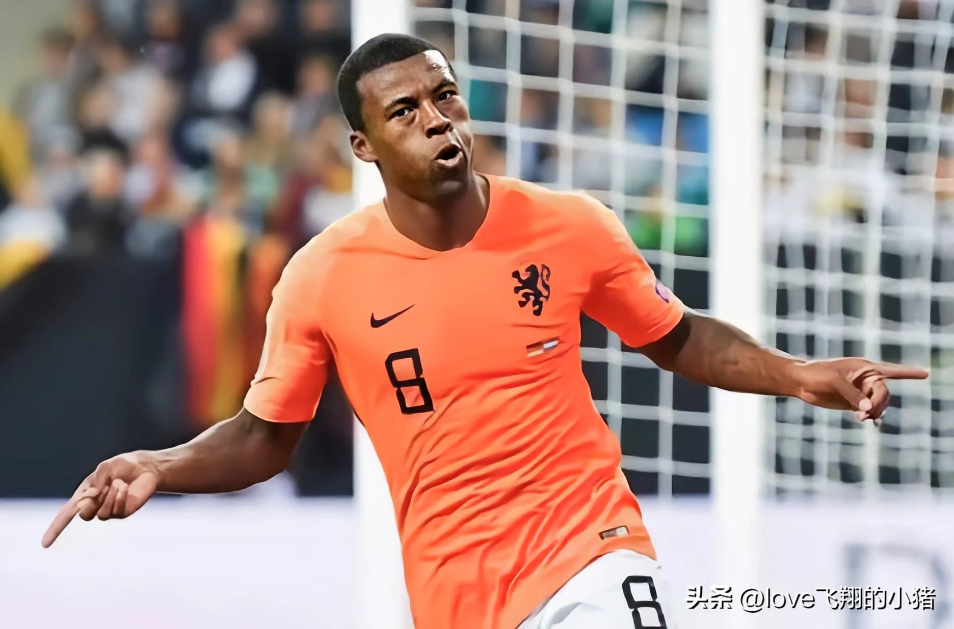 2022世界杯荷兰阵容（荷兰队2022世界杯阵容首发11人主力预测）