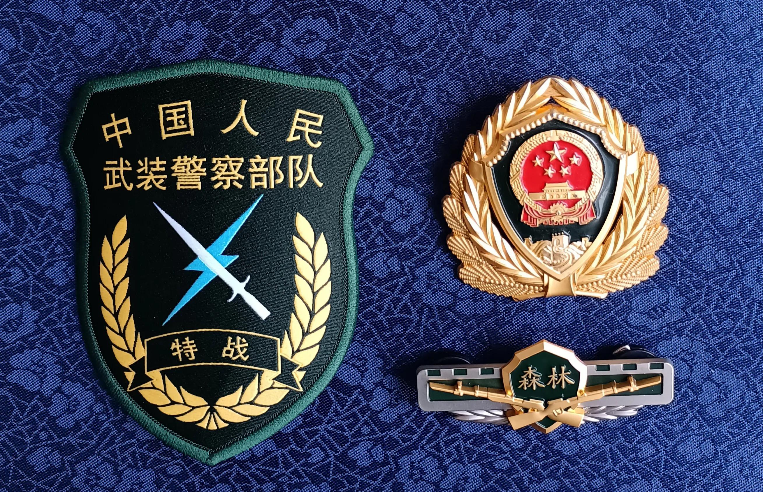 毛启国:武警部队16式臂章鉴赏