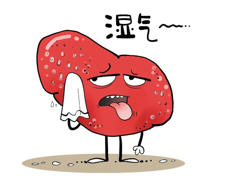 最好的祛湿方法其实就是补阳,3个补阳中成药,烘干你一身湿气