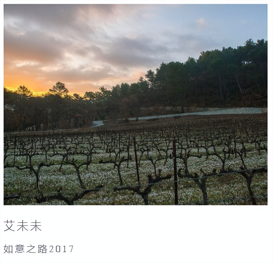 建筑界的木桶酒标大集，普利兹克大师云集的拉寇特酒庄