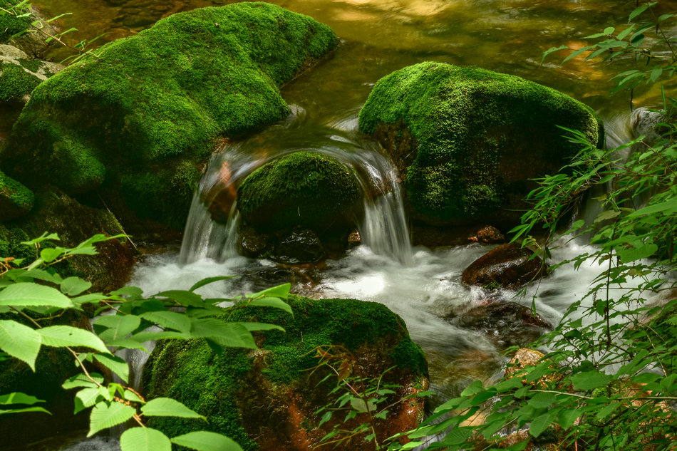 天水桃花沟里水潺潺