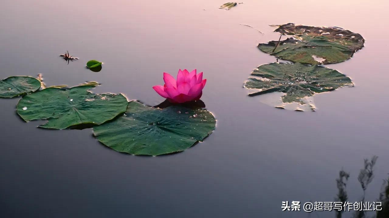 致敬罗永浩，你是连续创业的英雄