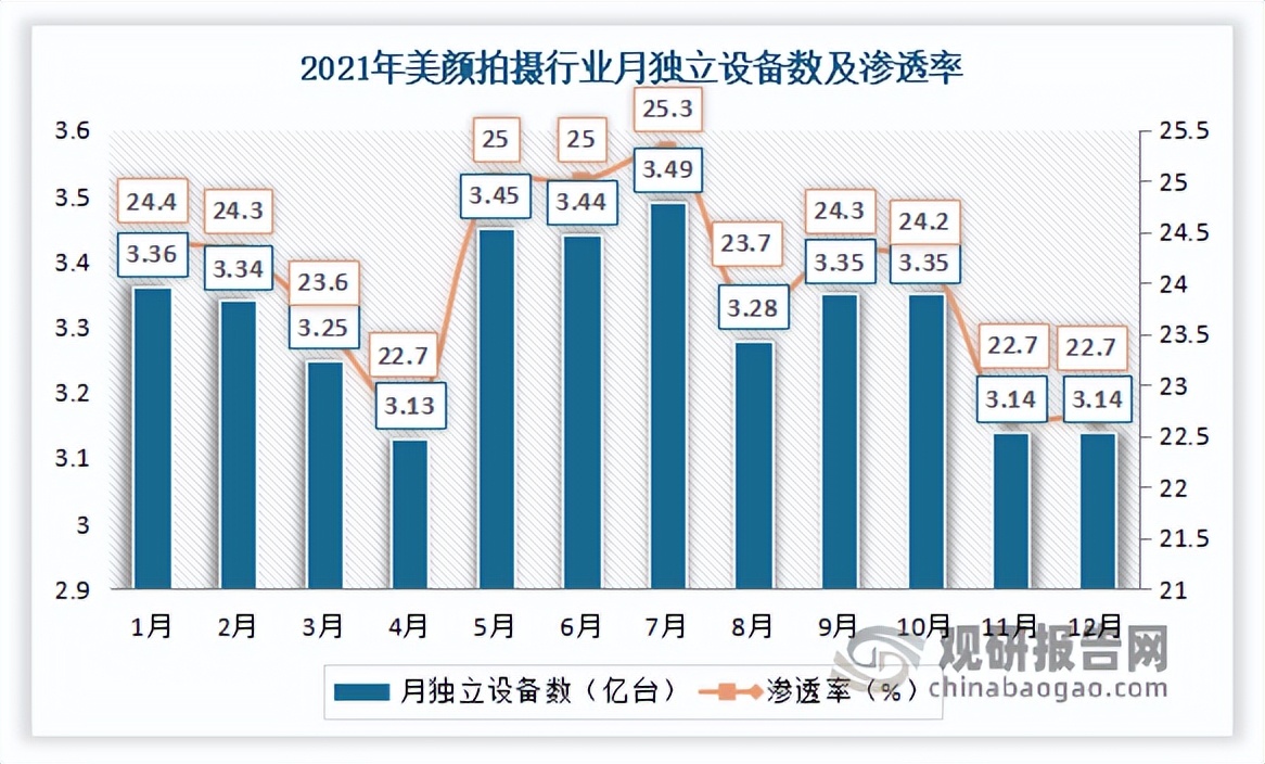 中国美颜拍摄类APP行业发展深度研究与投资前景分析报告