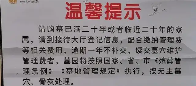 假如膝下无子，那么墓地过了使用年限无人续缴会怎么样？