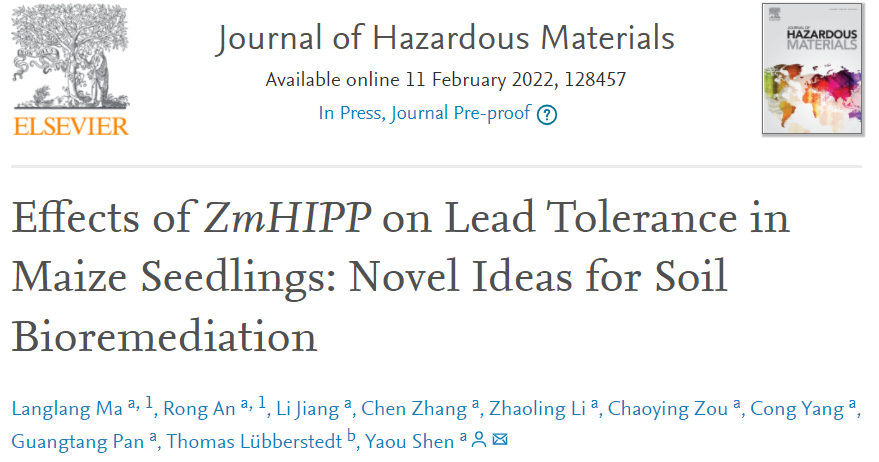 关注！四川这所高校：公开发表10项重磅成果！填补国内空白，发现世界首例！