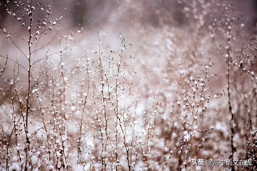 最美古诗词｜时光惊雪，雪落成诗，美到骨子里