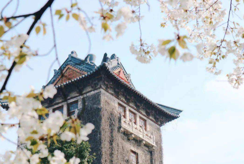 这所“传奇”大学，排名曾远超清北，可惜却不走“寻常路”