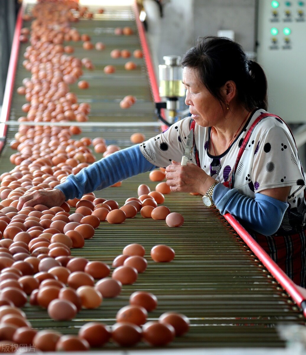 双节临近，肉价偏稳，蛋价、菜价回落，是时候买年货了吗？