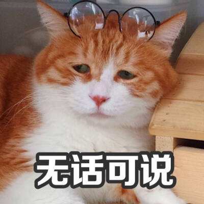 干货！抓住智力发展关键期，3-6岁儿童的益智玩具怎么选？