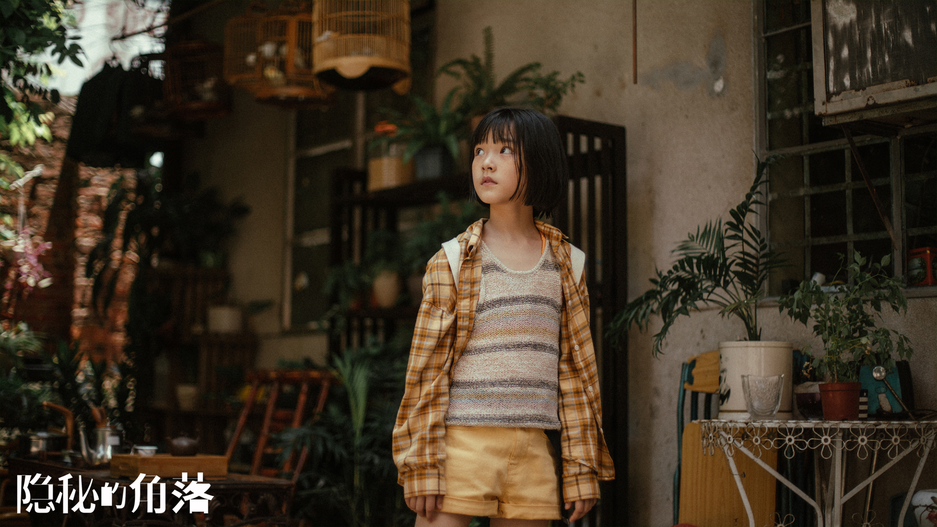 人生大事票房破12亿，10后mini花可爱又懂事！抱谁回去当女儿呢？