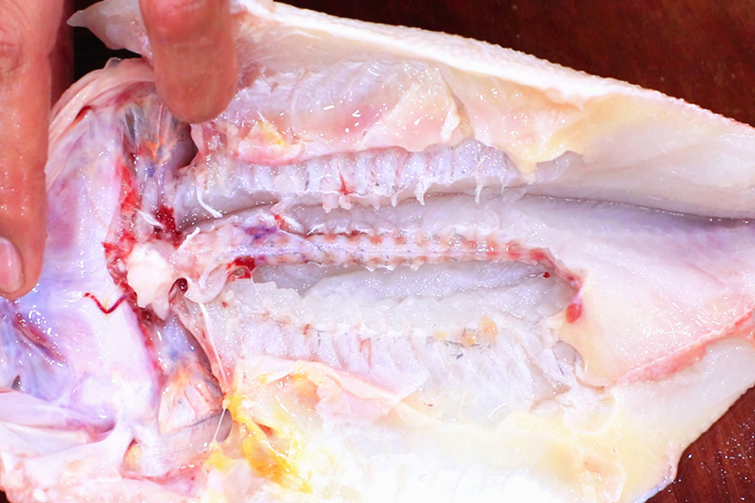 高考将近,建议家长:多给孩子吃这5种