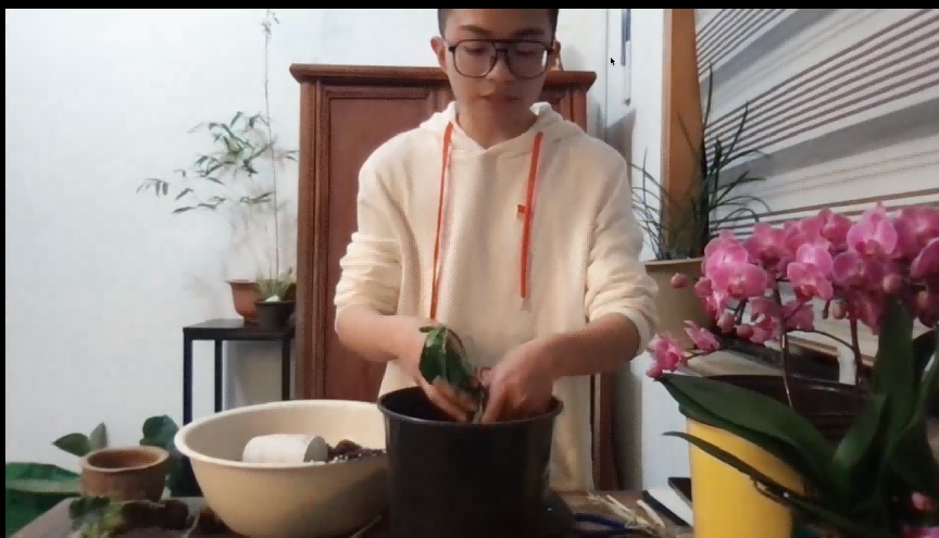 苏州园区胜浦街道星辰北社区种子计划正式启动