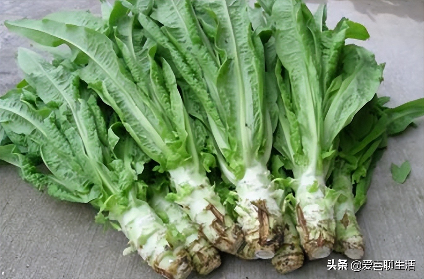 建議中老年人，這6種食材要常吃，便宜又鮮美，常吃身體好有精神