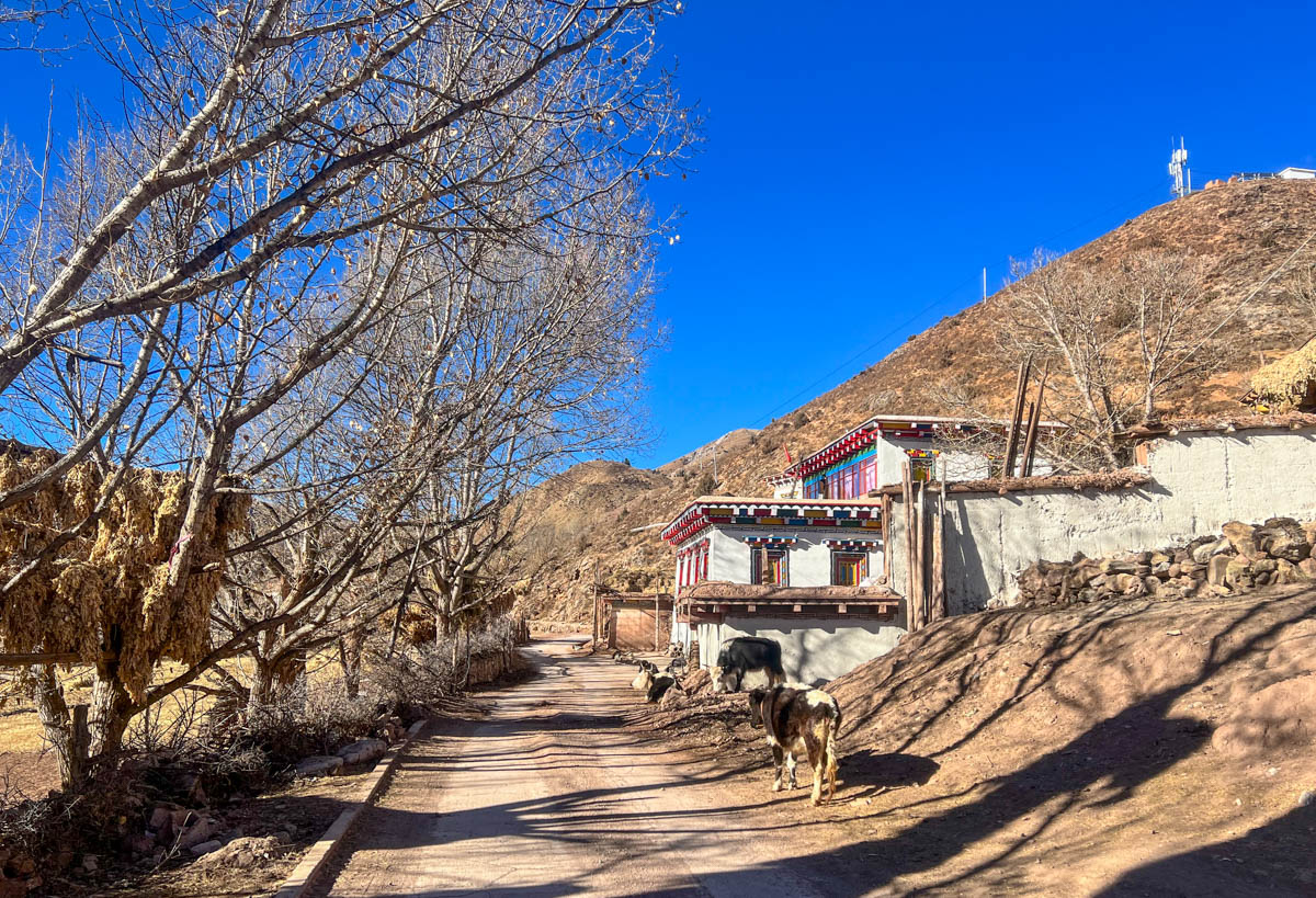 西藏自驾游第四天:翻越红拉山,在芒康遇见海拔4300米的莽措湖