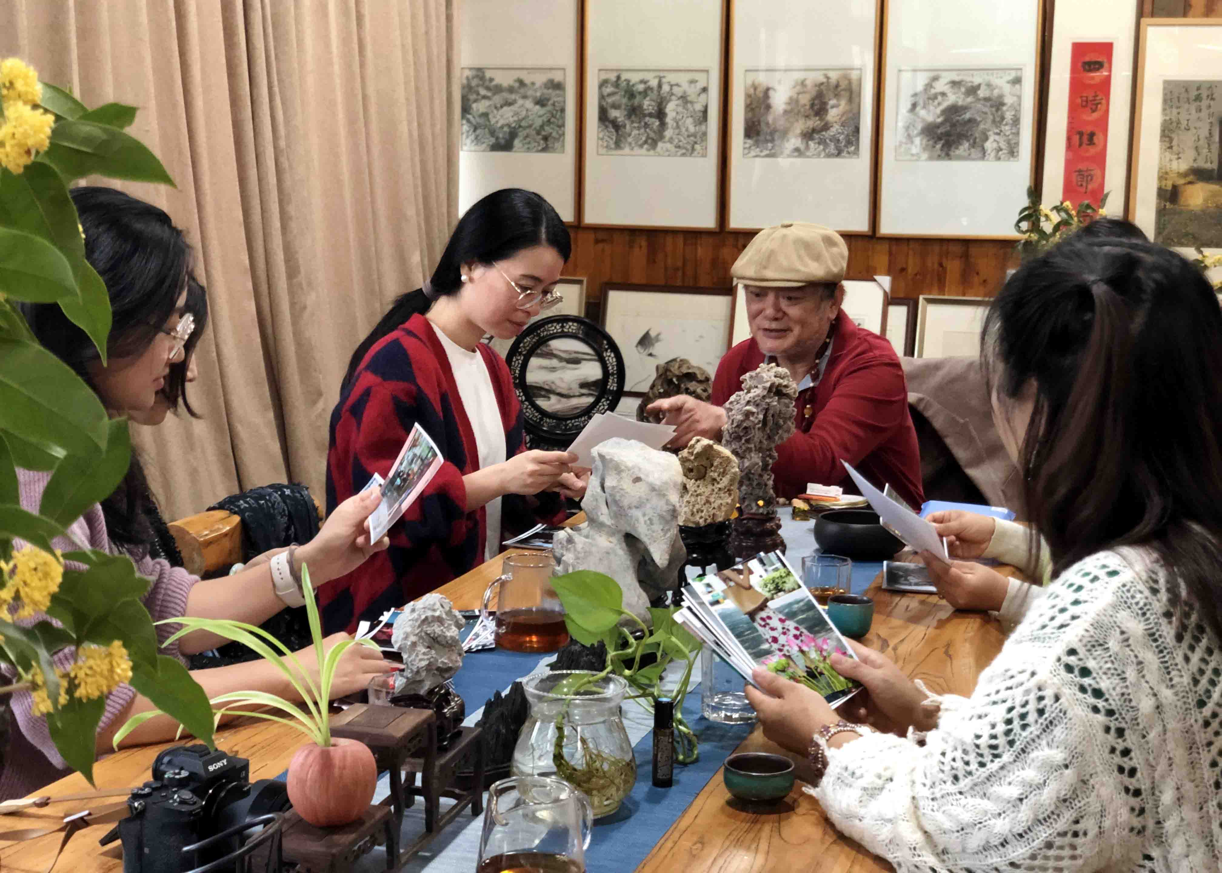 沾花捻草——苏州街拍第一达人陆伟东教大家拍摄粉黛网红草