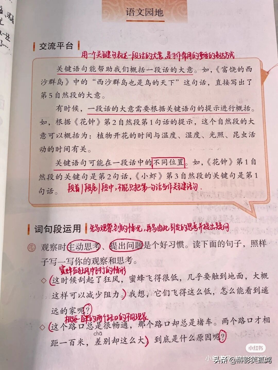 三年级语文下册第4单元课堂笔记，详细整理课文知识点