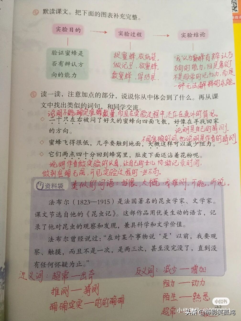 三年级语文下册第4单元课堂笔记，详细整理课文知识点