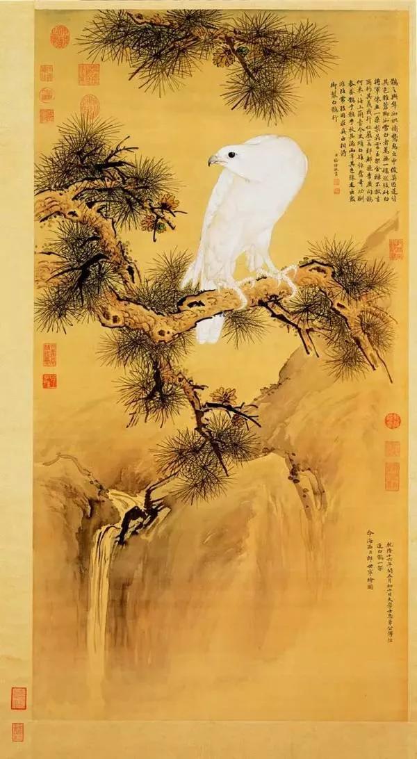 清代宫廷画家郎世宁的（清代宫廷画家郎世宁的什么图描绘了姿态各异之骏马白皮）-第56张图片-悠嘻资讯网