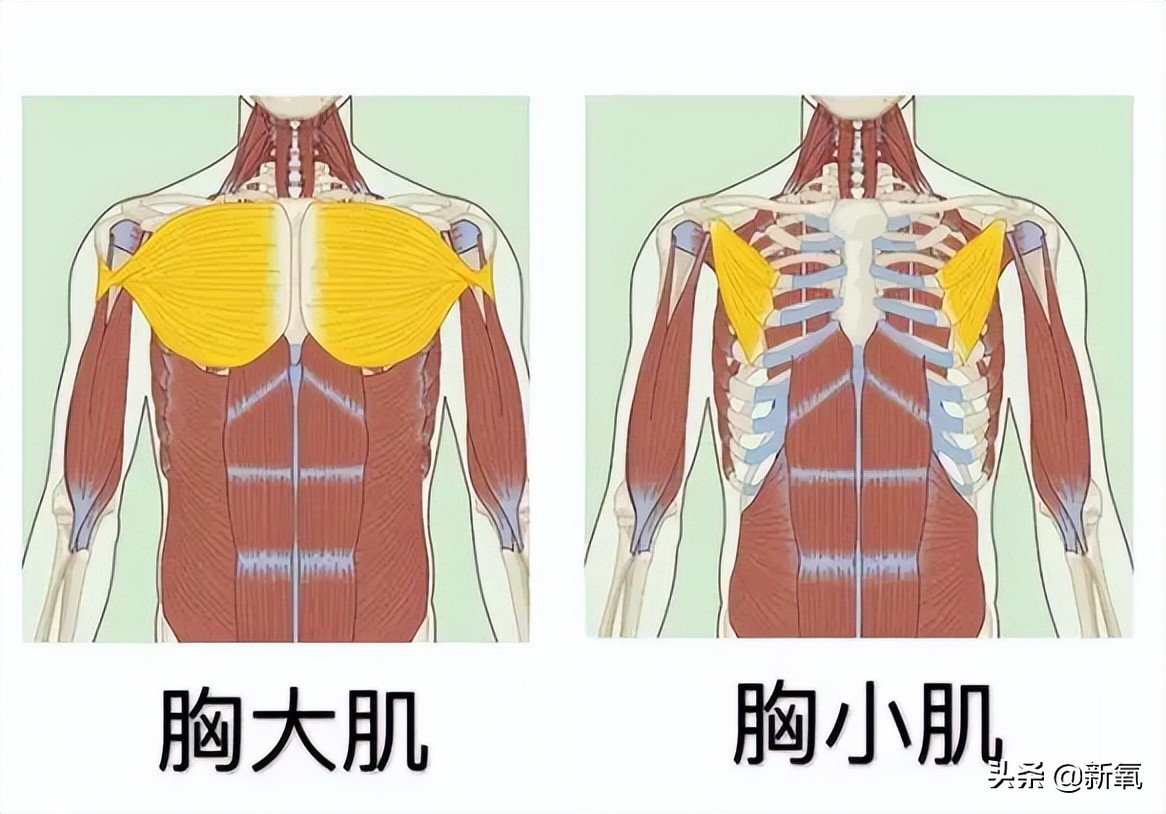 90后美女的胸(没穿内衣上红毯就被喷胸垮成饼？这两年她经历了啥…)