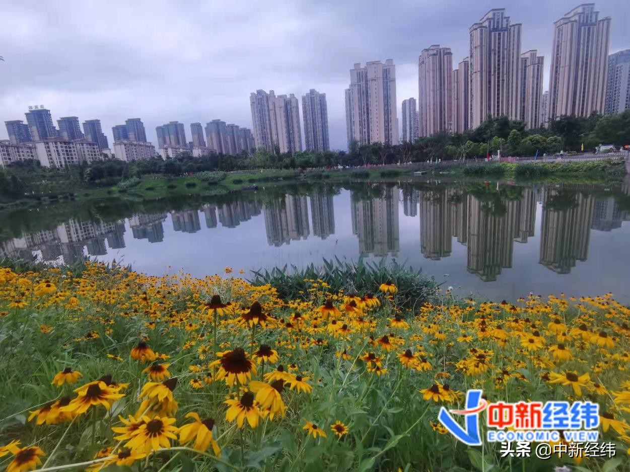 二套房贷款政策,二套房贷款政策2022