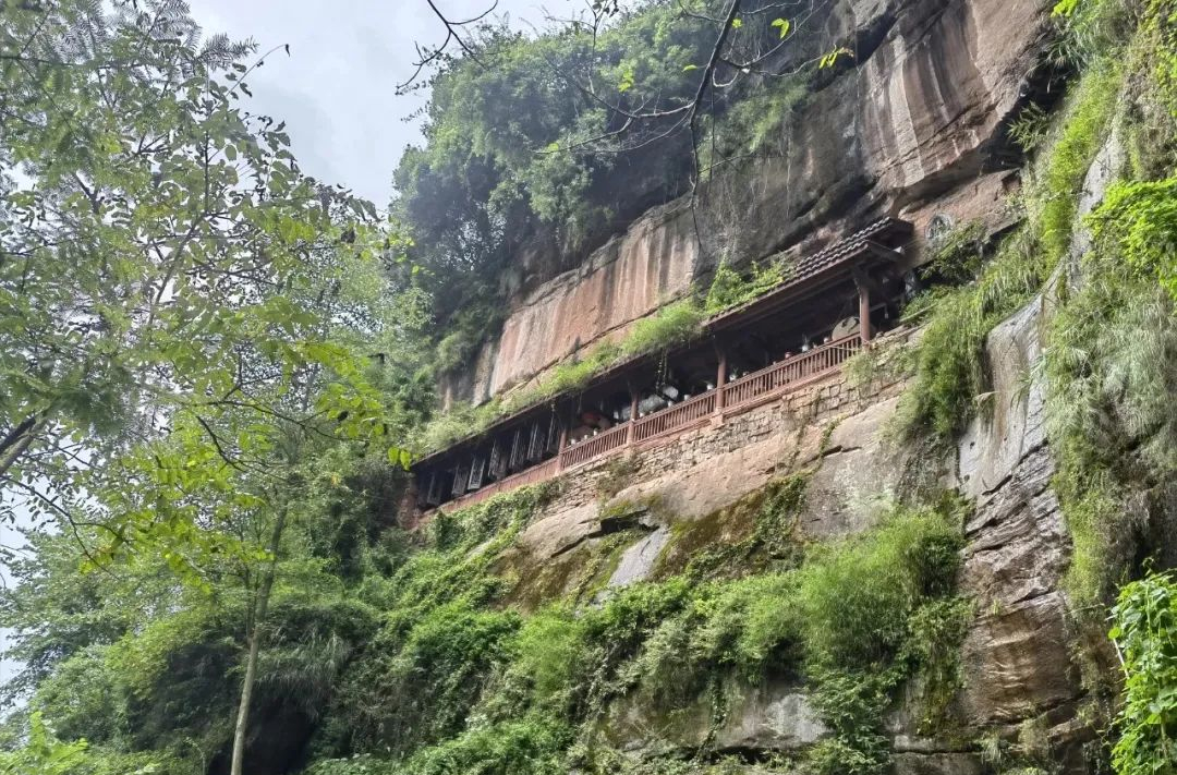 成都周边山区旅游(1.5h就到！去这个小众地爬山吸氧、看山间石刻佛像、吃生态美食)