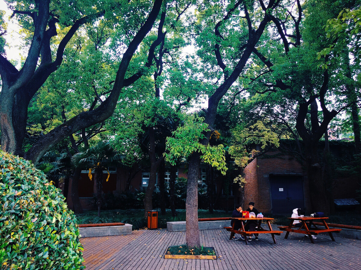 上海最值得报考的6所双非大学，分数线不高发展好，你都知道吗？